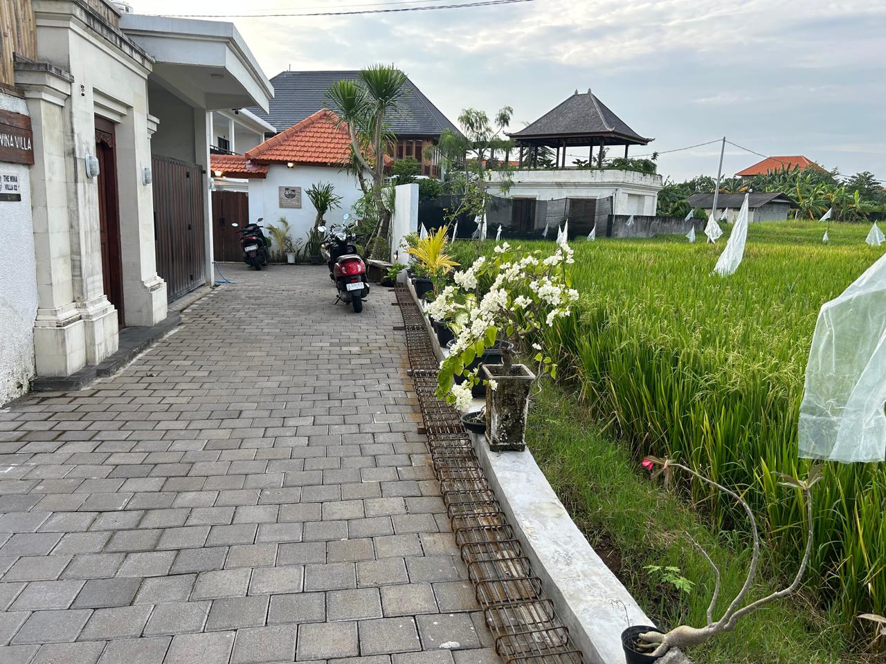 2BR Villa In Canggu — photo 8