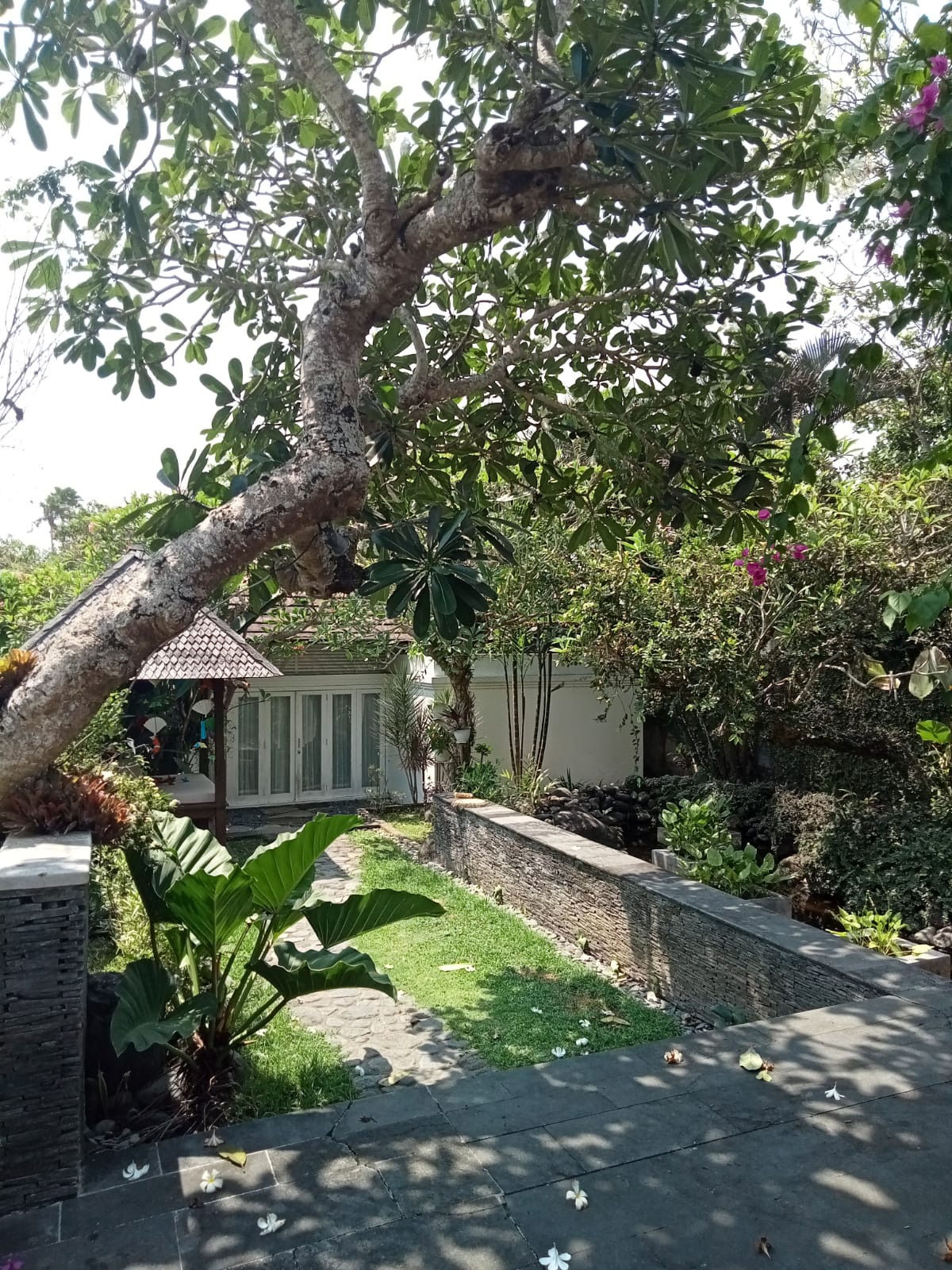 4BR Villa Pererenan — photo 8